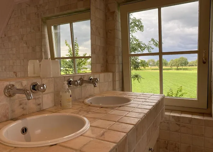 De Meerenhoeve Σπίτι διακοπών Mill