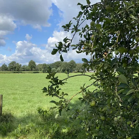 Сasa de vacaciones De Meerenhoeve Mill