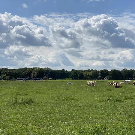 Сasa de vacaciones De Meerenhoeve Mill