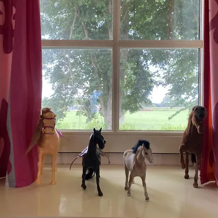 De Meerenhoeve * Mill