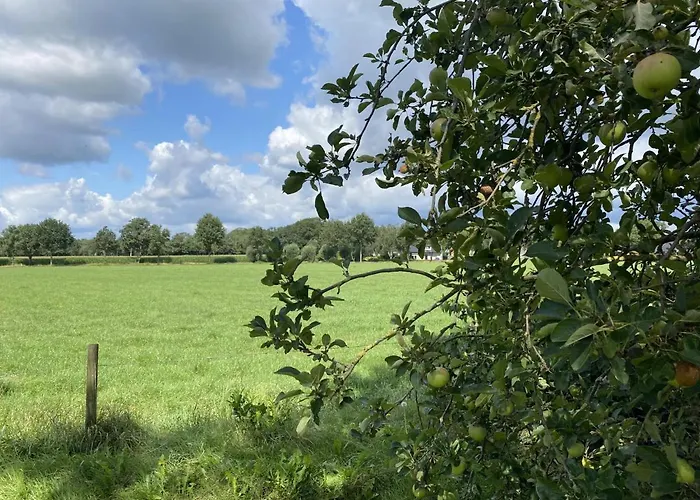 Dom wakacyjny De Meerenhoeve Mill