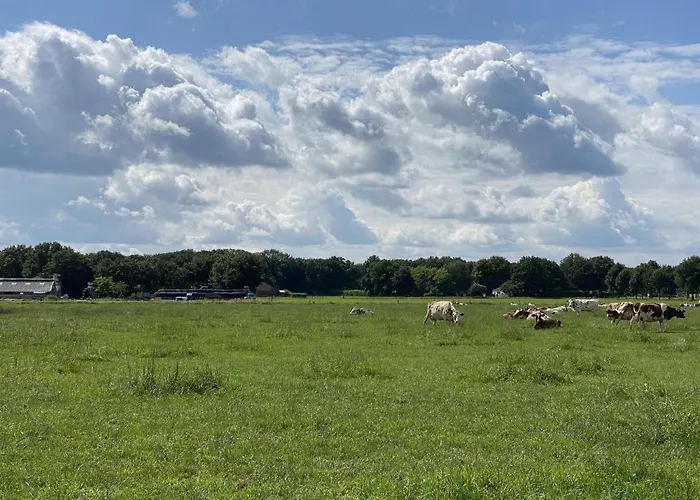 Holiday home De Meerenhoeve Mill