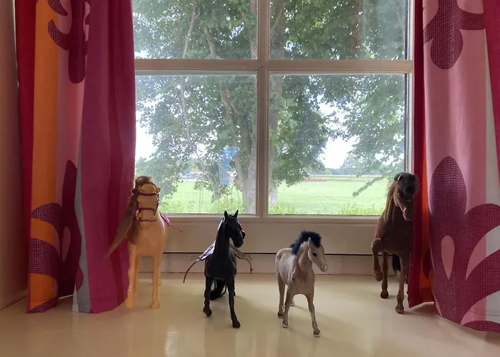 De Meerenhoeve * Mill